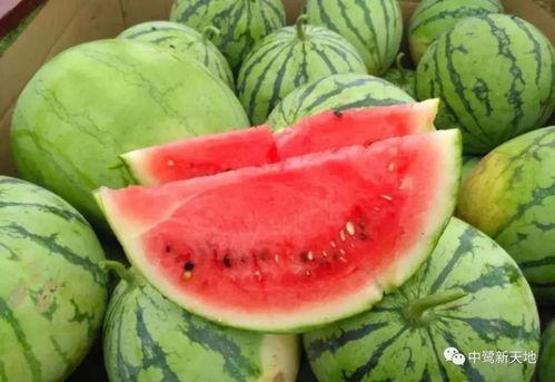 南宁今日吃瓜事件视频