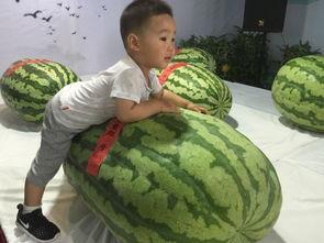 天河城吃瓜群众事件