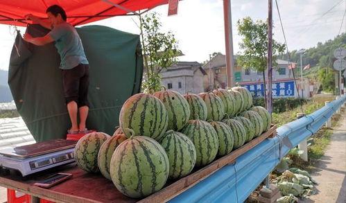 福州黄靖媛吃瓜事件真相,真相背后的网络风波