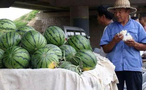 福州黄靖媛吃瓜事件真相,真相背后的网络风波