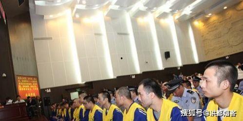 青县民政局吃瓜事件真相,真相揭秘与反思