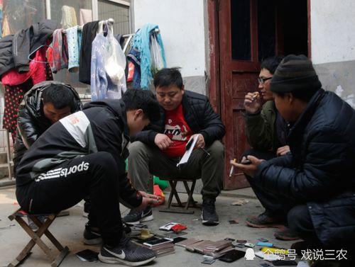 丰城邹雨婷吃瓜事件真相,揭开真相背后的曲折与反思