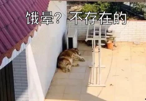 凉亭吃瓜事件真相视频播放,揭秘真相背后的惊人内幕