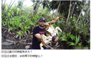 平潭爬树吃瓜事件始末