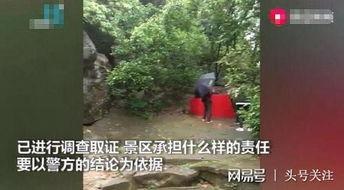 平潭爬树吃瓜事件始末