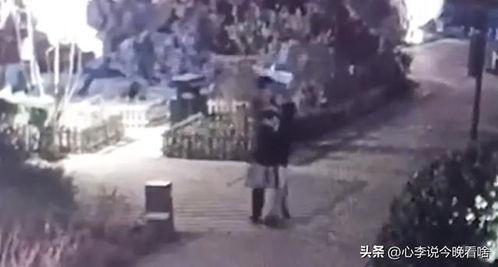 蒲城吃瓜事件始末视频完整版