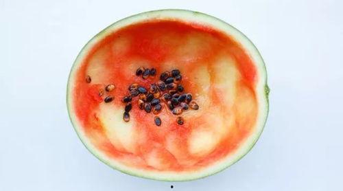 红河吃瓜事件真相,揭开真相背后的惊人内幕