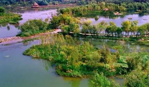 吃瓜最新事件潍坊公园,最新事件引发热议