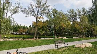 吃瓜最新事件潍坊公园,最新事件引发热议