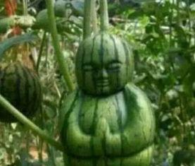 孝义万达吃瓜事件真相是真的吗,真相揭秘，还原事件始末