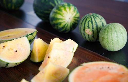 嘉兴密接吃瓜事件,一场意外引发的防疫风波