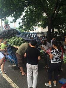 乌海市吃瓜事件视频,一场引发热议的网络风波