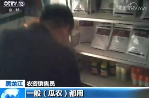 枣庄最新吃瓜事件视频曝光,视频曝光揭示惊人真相