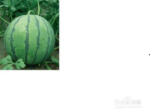 临海幼儿园吃瓜事件,幼儿食品安全引关注