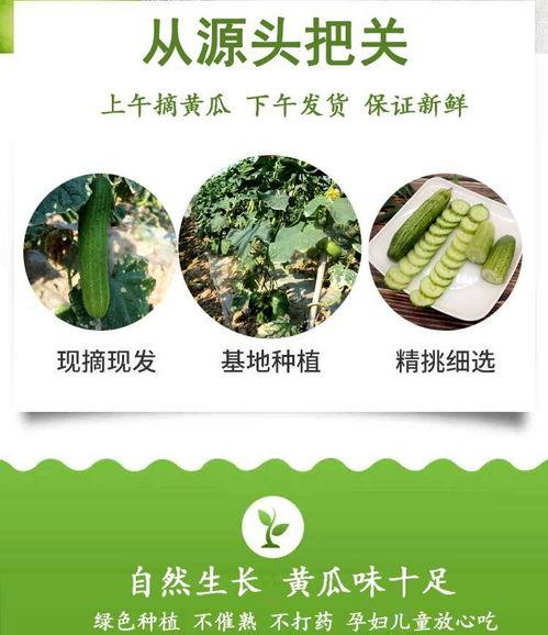 青农吃瓜事件,一场网络舆论的风暴与反思