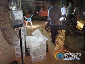 任县骆庄吃瓜事件视频播放,视频曝光引发网友热议