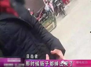 任县骆庄吃瓜事件视频播放,视频曝光引发网友热议