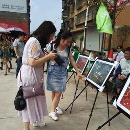 义乌吃瓜群众事件,网络舆论的风暴与反思