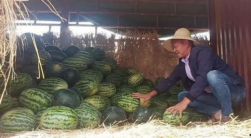 昆明本地吃瓜事件视频曝光