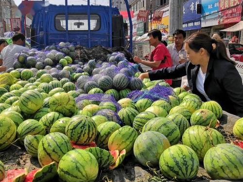 宁夏吃瓜事件真相视频,揭秘背后真相与争议