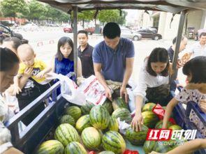 宁乡吃瓜事件,一场引发社会热议的网络风波