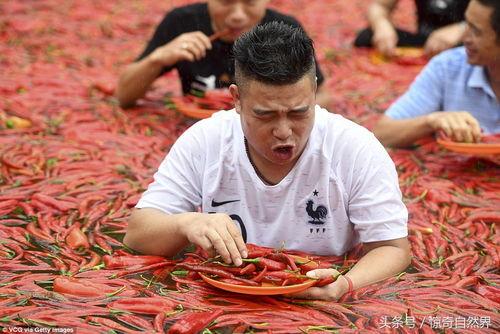 宁乡吃瓜事件,一场引发社会热议的网络风波