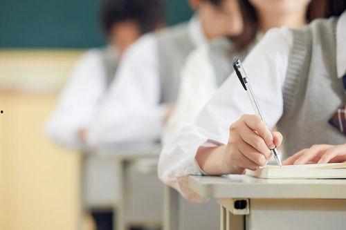 学校亭子吃瓜事件,一场甜蜜的误会与和谐解决