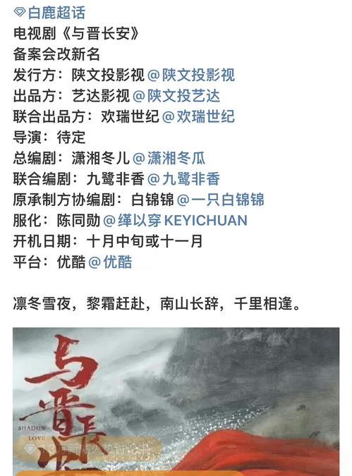 山东理性吃瓜事件始末,一场网络舆论的风波与反思
