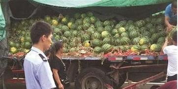 伊宁吃瓜事件真相揭秘,揭秘背后的真相与争议